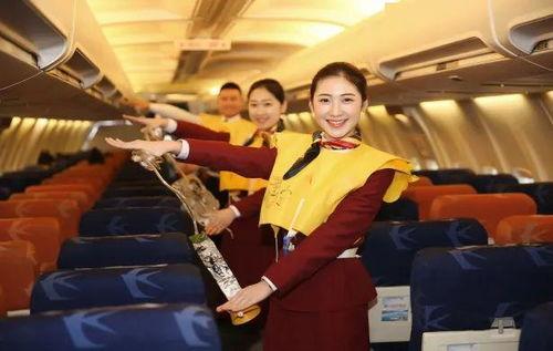 空乘日常爆料视频播放,视频播放背后的真实工作瞬间 第2张 空乘日常爆料视频播放,视频播放背后的真实工作瞬间 第2张